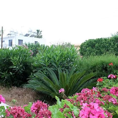 Constantia Gardens 公寓 Paphos